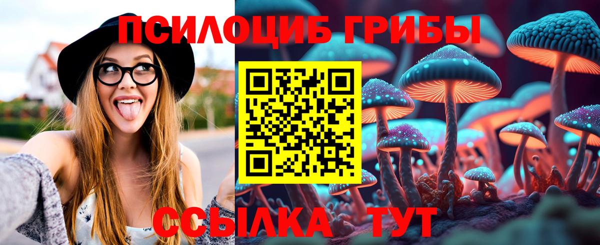 Псилоцибиновые грибы мицелий Баксан