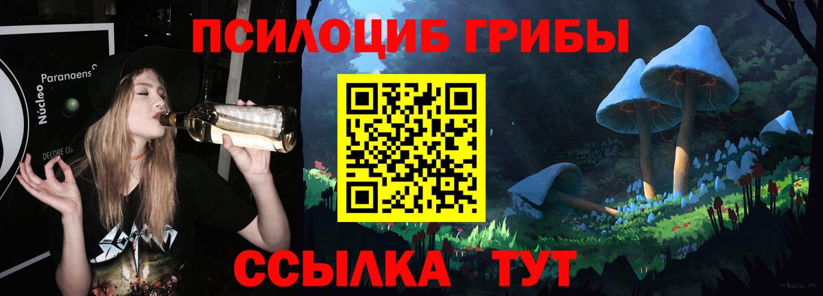 Баксан  Псилоцибиновые грибы Psilocybe  Псилоцибиновые грибы мицелий  Вход с VPN 